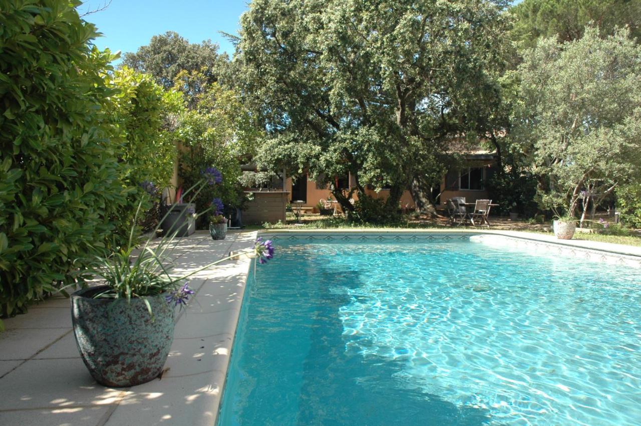 La Vigne Et L'Olivier Apartment Villeneuve-les-Avignon Luaran gambar