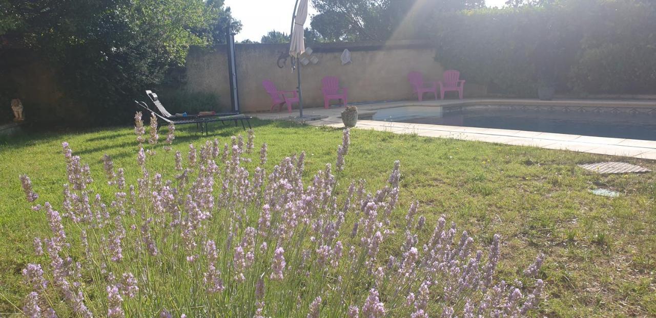 La Vigne Et L'Olivier Apartment Villeneuve-les-Avignon Luaran gambar